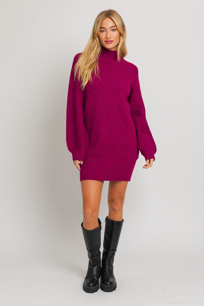 
                      
                        Cassidy Mock Neck Sweater Dress
                      
                    