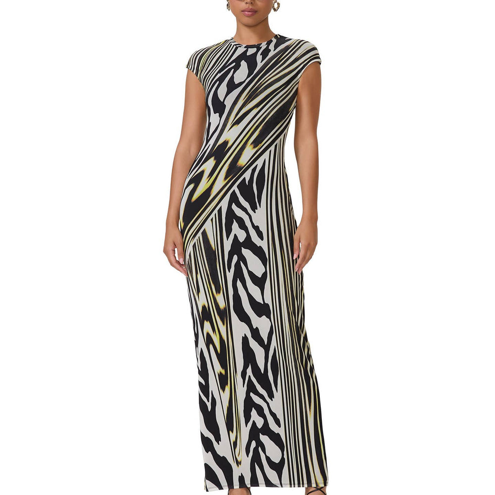 Cody Print Cap Sleeve Mesh Maxi Dress In Zebra Lime