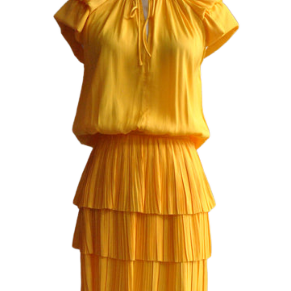 
                      
                        Zoey Pleated Mini Dress
                      
                    