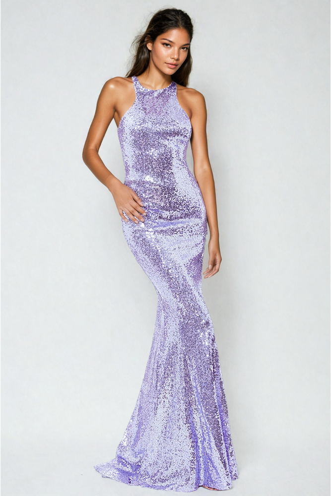 
                      
                        Emilia Sequin Maxi Gown
                      
                    