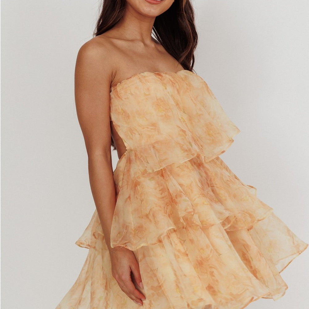 
                      
                        Lorena Sleeveless Chiffon Mini Dress
                      
                    