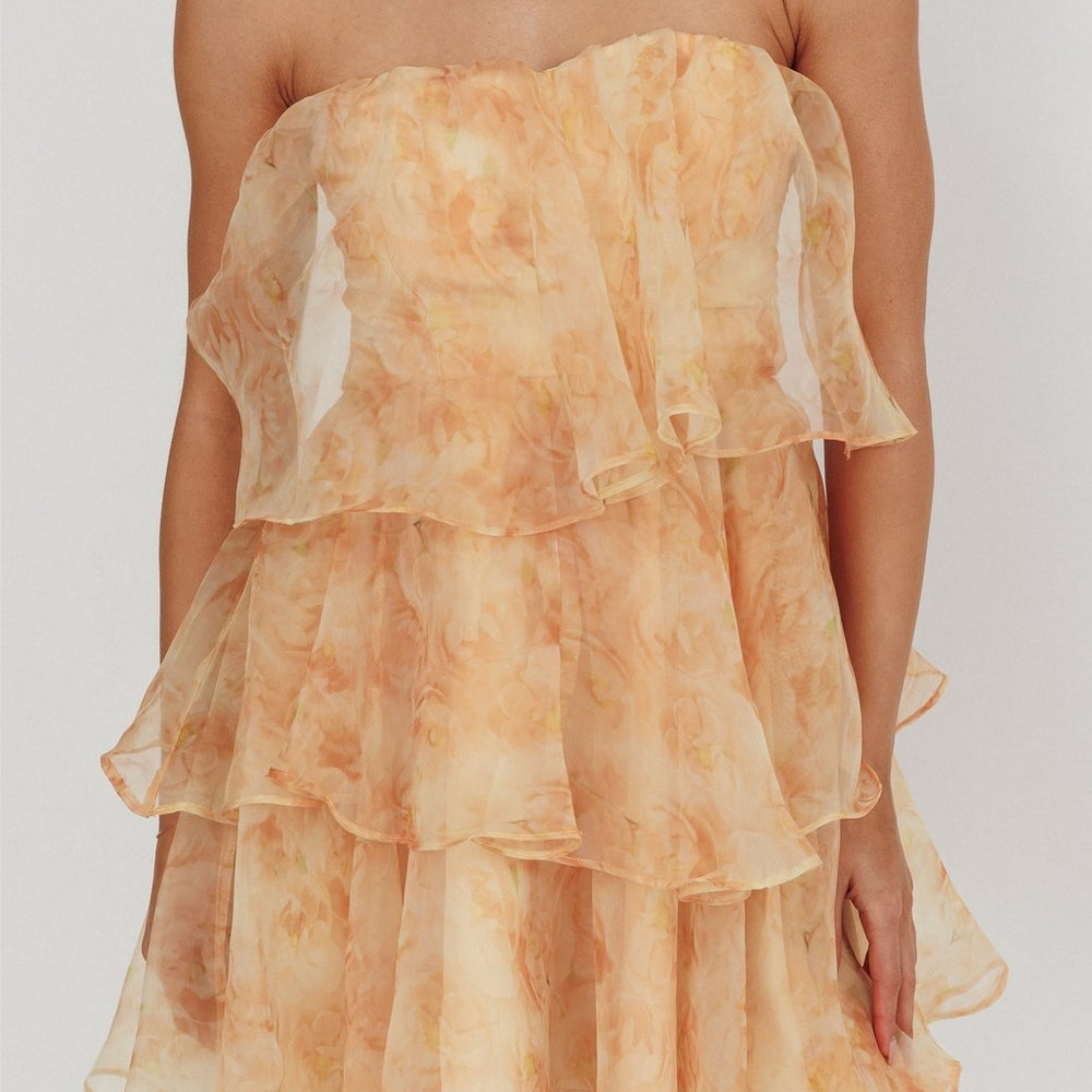 
                      
                        Lorena Sleeveless Chiffon Mini Dress
                      
                    